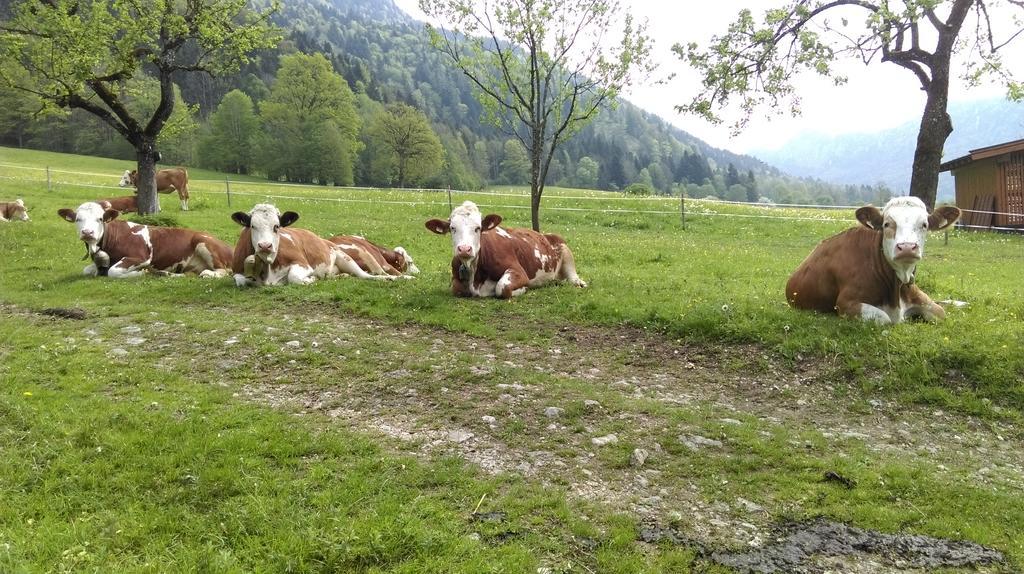 Hotel Welzenhof Walchsee Zewnętrze zdjęcie